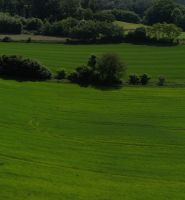 ca. 5,6 ha landw. Fläche/Acker im Rottal Bayern - Bad Birnbach Vorschau