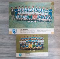 Zwei alte FC Magdeburg Poster 1977 und 1979 Sachsen-Anhalt - Langenstein Vorschau