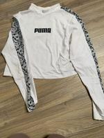 Puma Shirt Sachsen - Niederfrohna Vorschau