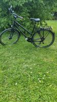 Carver Spurtreu 27.0 28 Zoll Rahmen 56 cm Trekkingrad Hessen - Idstein Vorschau