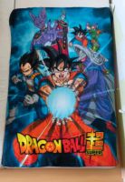 Dragon Ball Kuscheldecke Fleece Nordrhein-Westfalen - Paderborn Vorschau