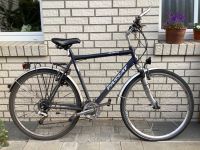 Passat Toulon Fahrrad, reparaturbedürftig Münster (Westfalen) - Amelsbüren Vorschau