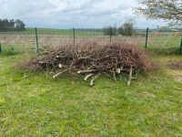 Hackguthaufen Astwerk,Gipfenware KOSTENLOS Bayern - Ingolstadt Vorschau