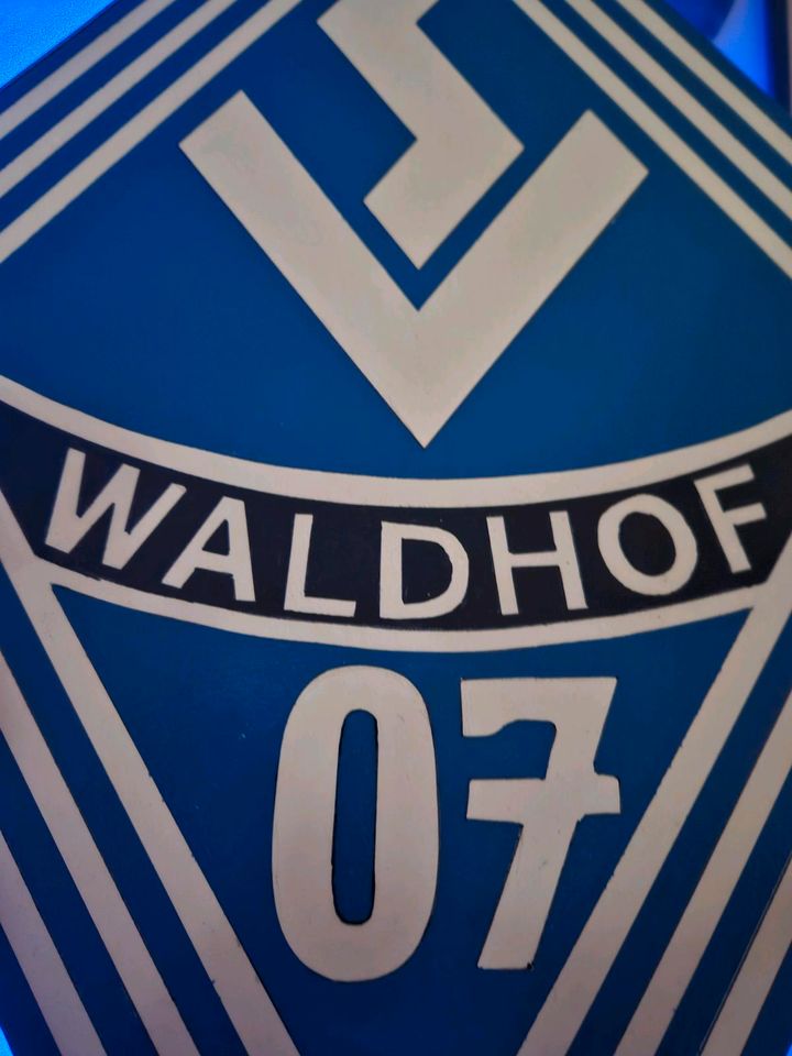 Waldhof Mannheim Wanddekoration für Fanraum, Keller o.ä. in Sinsheim