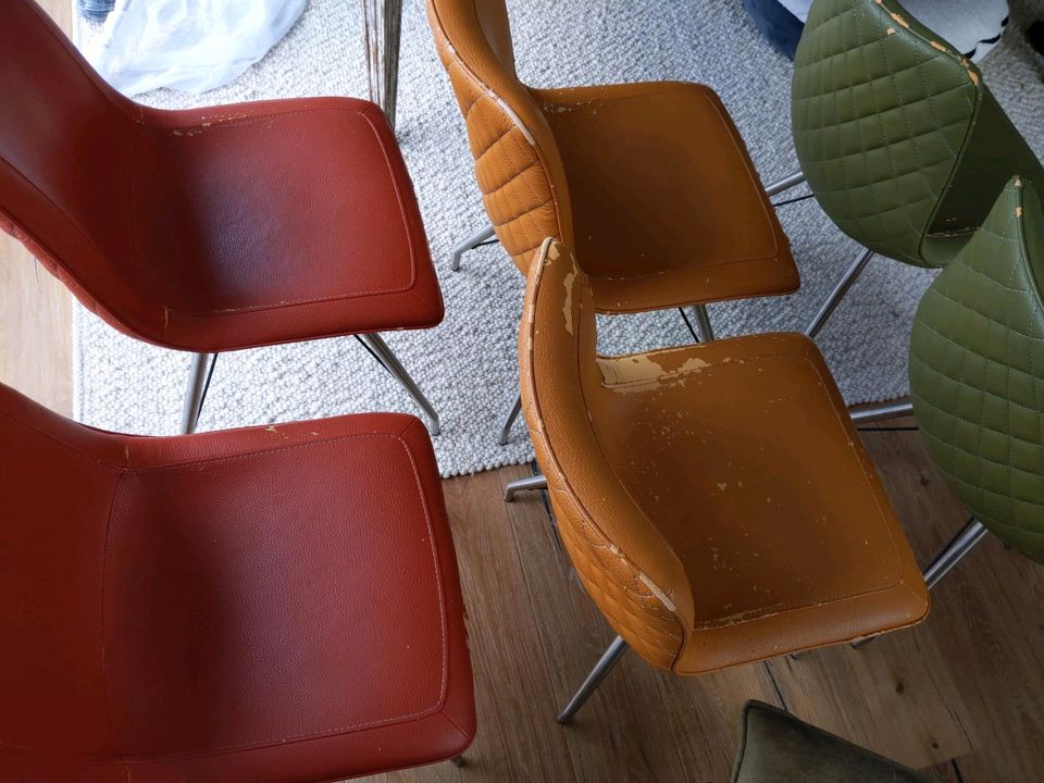 Esszimmerstühle, sechs Stühle, bunt, kein ikea, zu verschenken in Oldenburg
