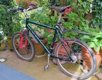 ⭐ Mountainbike, 26“, Spezialumbau ⭐ Münster (Westfalen) - Coerde Vorschau