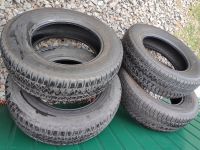 4x Bridgestone Allwetterreifen  215/70 R 16  100T Sachsen - Demitz-Thumitz Vorschau