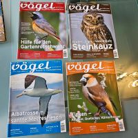 Jahresausgabe von der Fachzeitschrift "Vögel"2011 Nordrhein-Westfalen - Everswinkel Vorschau