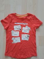 T shirt gr 122,128 Nordrhein-Westfalen - Warstein Vorschau