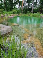 Teichreinigung / Schwimmteichreinigung Schleswig-Holstein - Ammersbek Vorschau