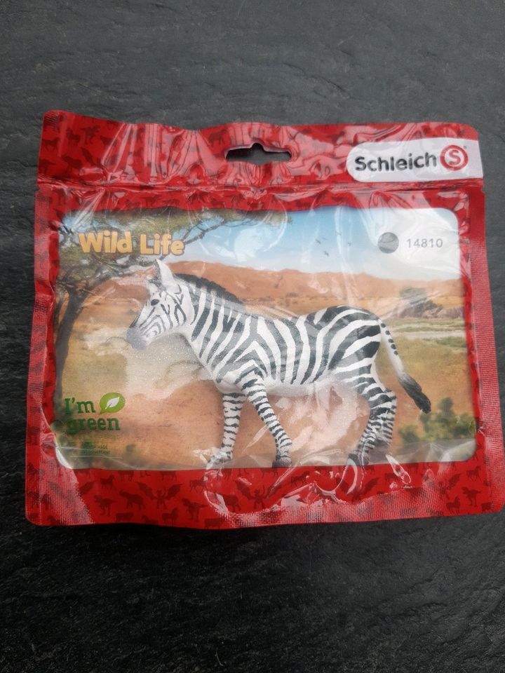 NEU OVP Schleich Zebra Tier Wild Life 14810 in Eutin