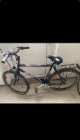 Fahrrad zu verkaufen Hessen - Reiskirchen Vorschau