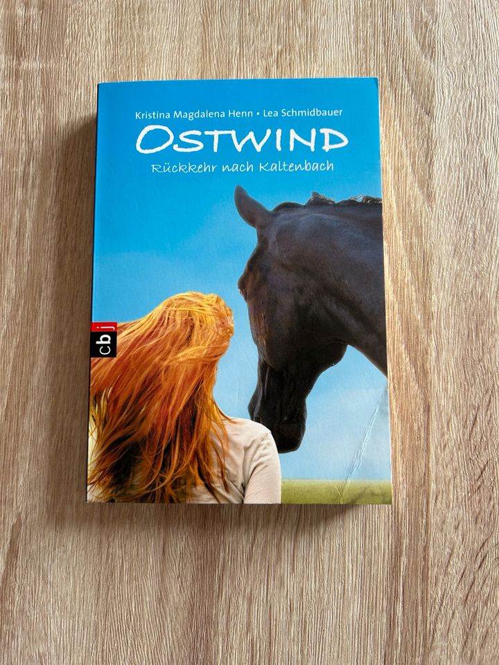 Kinderbücher Ostwind in Neumarkt i.d.OPf.