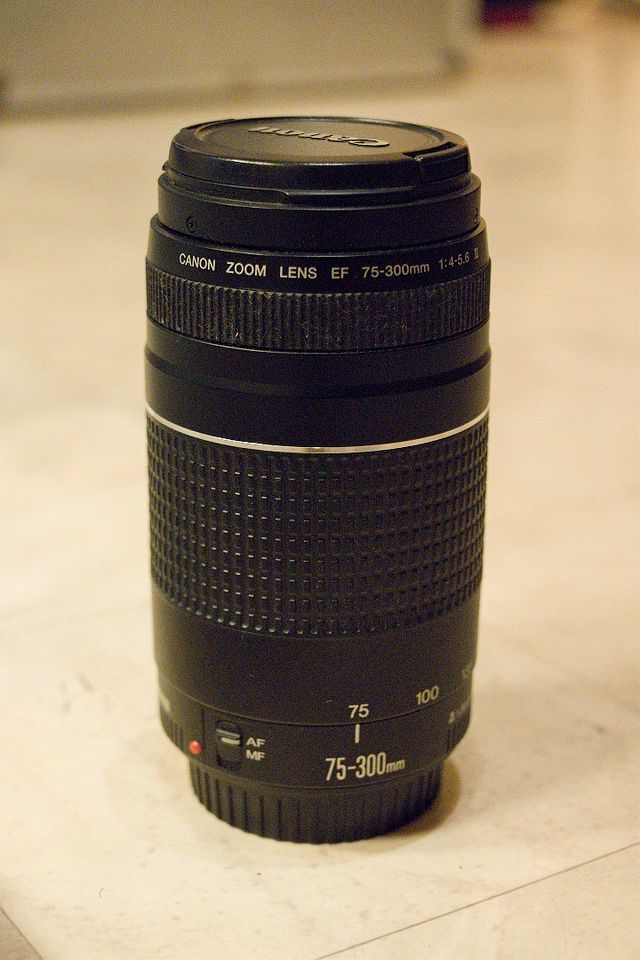 Canon EF 75-300mm 4-5.6 in Reinbek