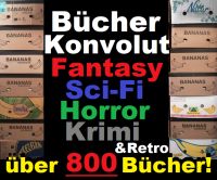 Bücher Sammlung 800 Stück Fantasy Science Fiction Krimi 16 Kisten Nürnberg (Mittelfr) - Südstadt Vorschau