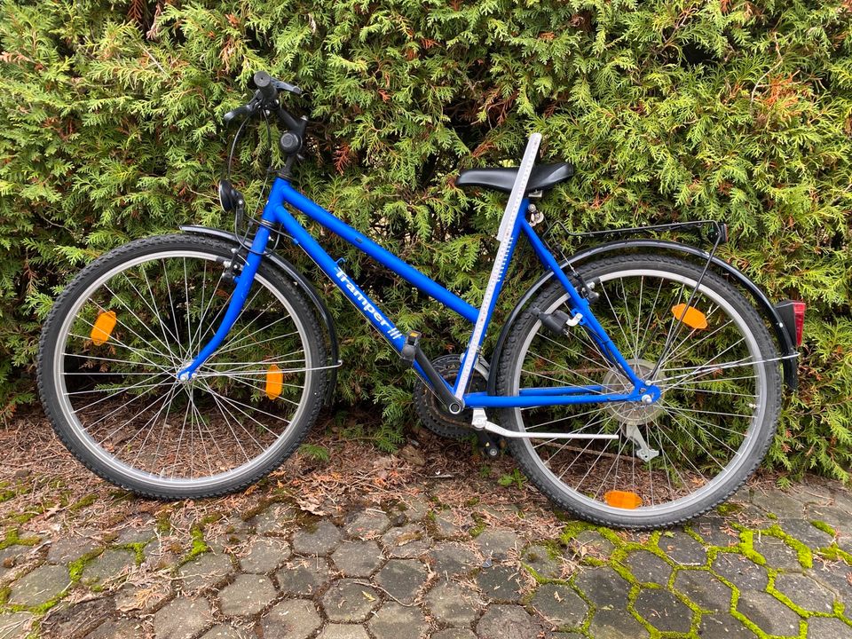 Fahrrad Tramper blau in Neumarkt i.d.OPf.