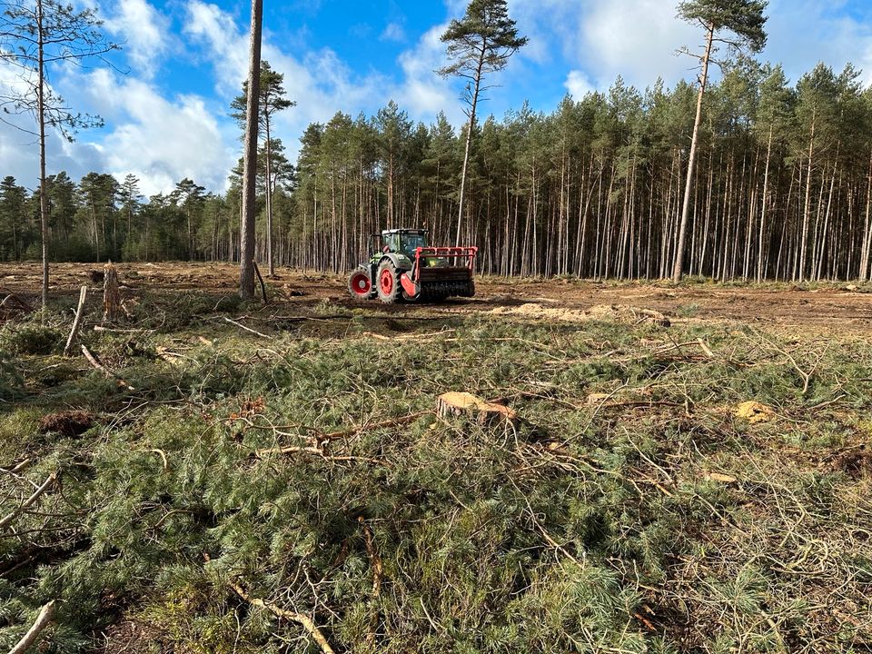 Forstmulchen Rekultivierung in Hagenow