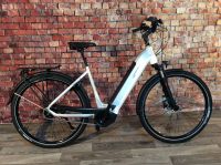 VICTORIA TRESALO 15 eBike BOSCH Perf. 625Wh NEXUS 5-Gang Alu NEU Niedersachsen - Munster Vorschau