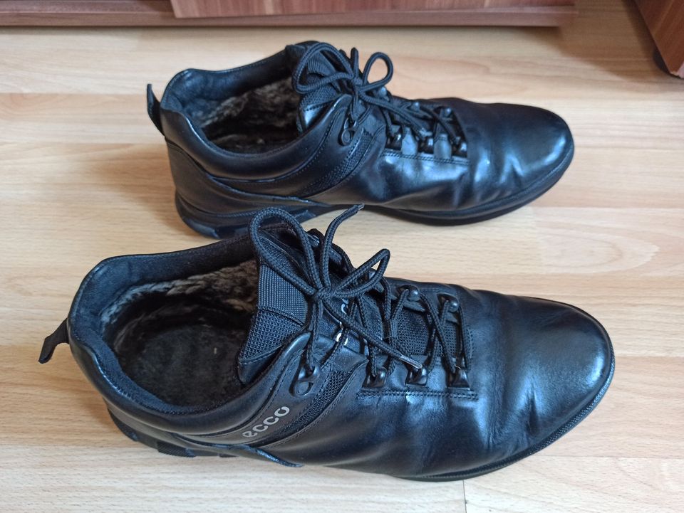 Ecco Schuhe Gr. 45 in Stuttgart - Feuerbach | eBay Kleinanzeigen ist jetzt  Kleinanzeigen