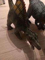 SOFT Dinos Baden-Württemberg - Ötisheim Vorschau