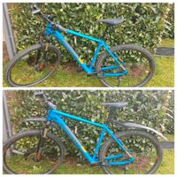 Herren Mountainbike Cube 29 Zoll Baden-Württemberg - Eppingen Vorschau