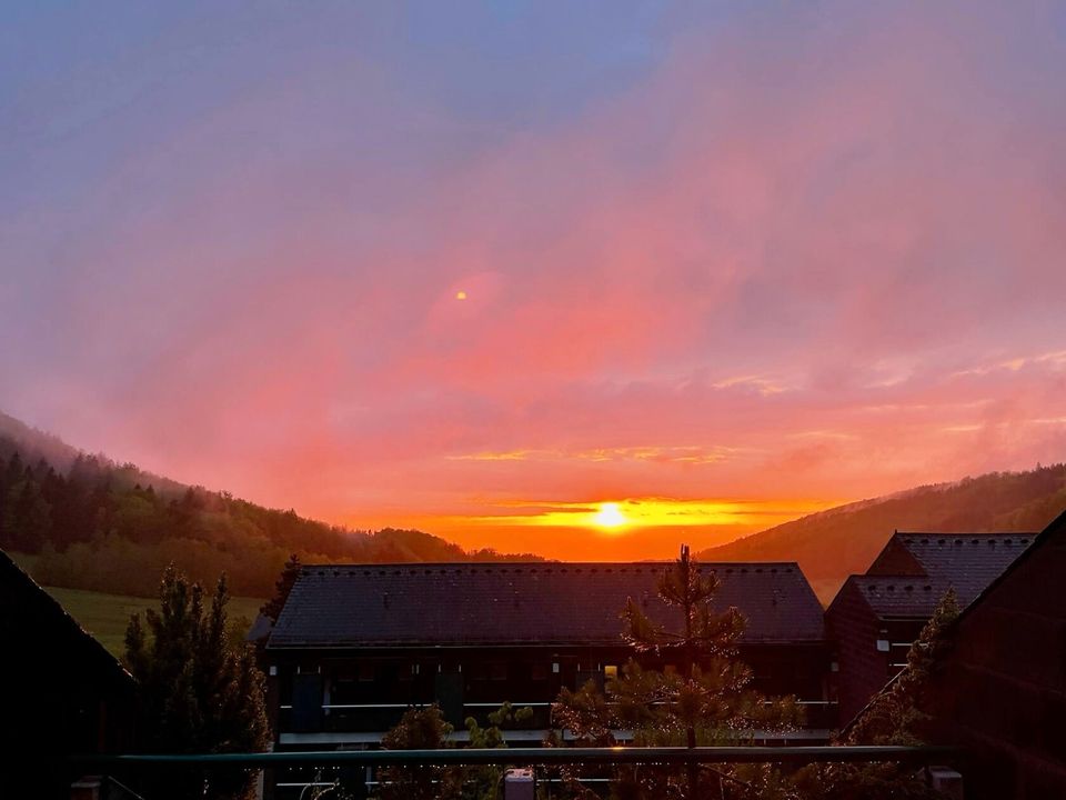 Das Waldi. Ferienwohnung in Sasbachwalden/Schwarzwald. in Offenburg