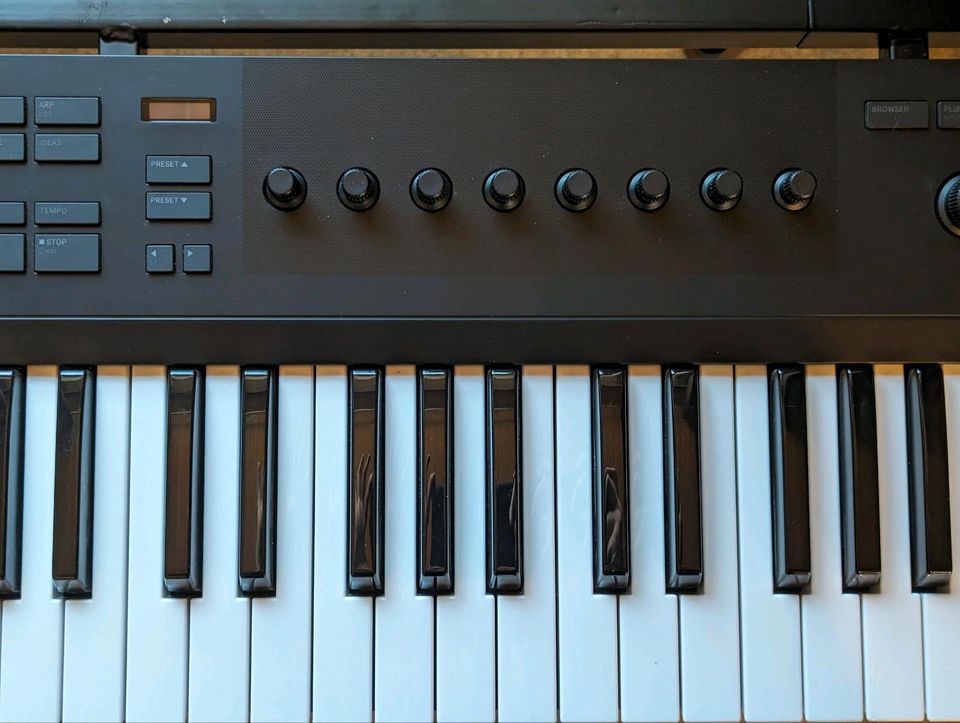 Native Instruments A49 - Midi-Keyboard - Kontakt - Maschine in München