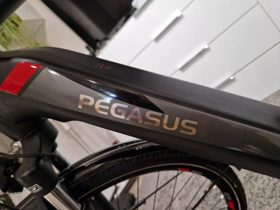 Pegasus Premio Evo 10 Pedelec E-Bike RH 55 Service NP. 3800€ in Köln