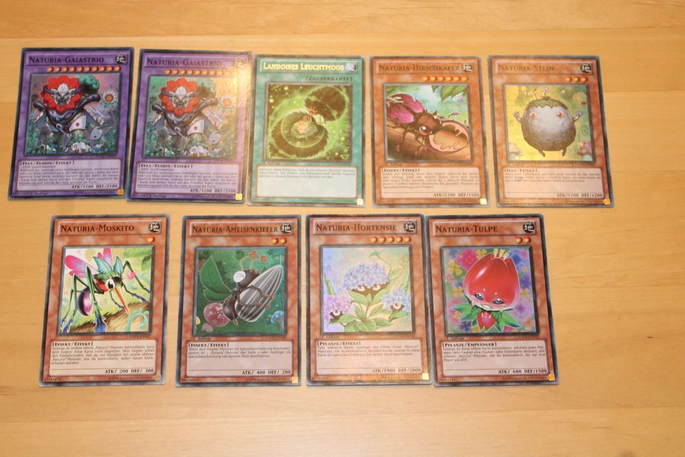 9 Naturia Yu-Gi-Oh! Karten Deck in Wachau