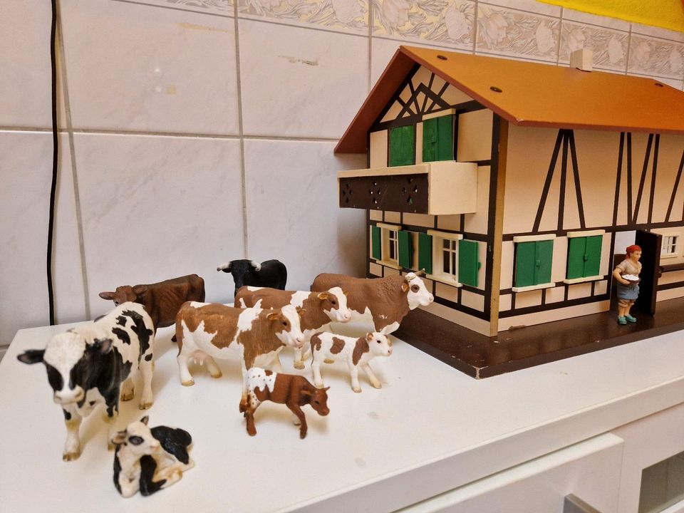 Schleich Bauernhaus 40161 - Rarität in Wittstock/Dosse