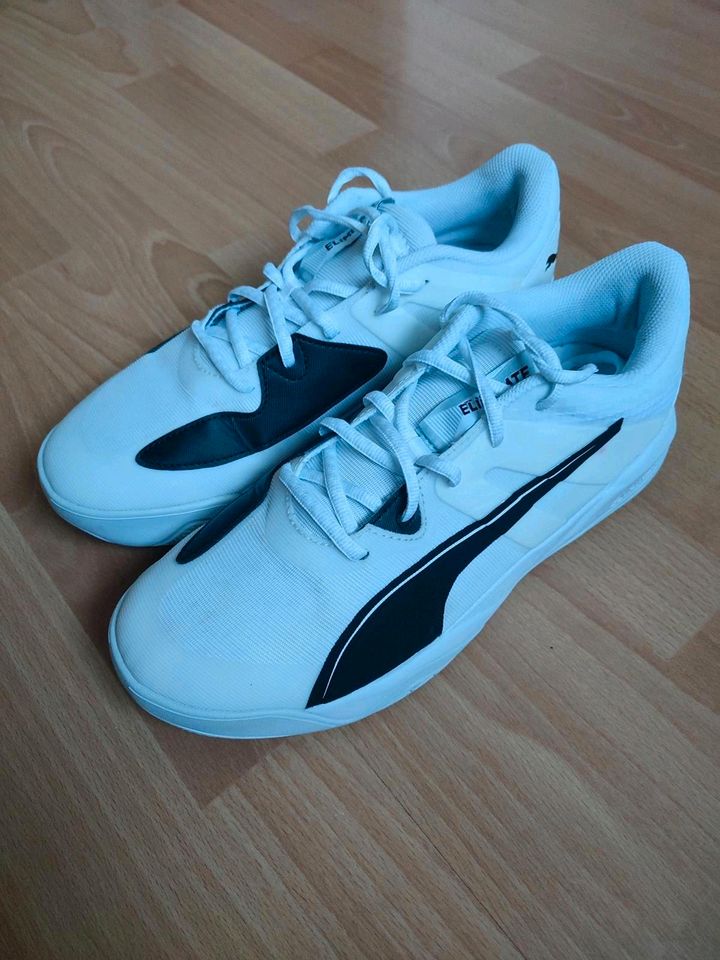 Turnschuhe Puma Eliminate Pro II in Menden