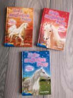 Mein magisches Pony 3 Bücher Verlag Nelsen Brandenburg - Althüttendorf Vorschau