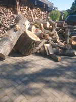 Brennholz zuverkaufen Sachsen-Anhalt - Bernburg (Saale) Vorschau