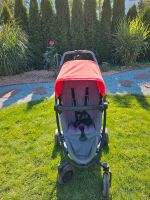 Quinny Zapp Flex Plus Buggy Rot Brandenburg - Falkensee Vorschau