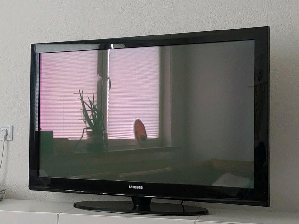 Samsung 50 Zoll Fernseher in Neuwied