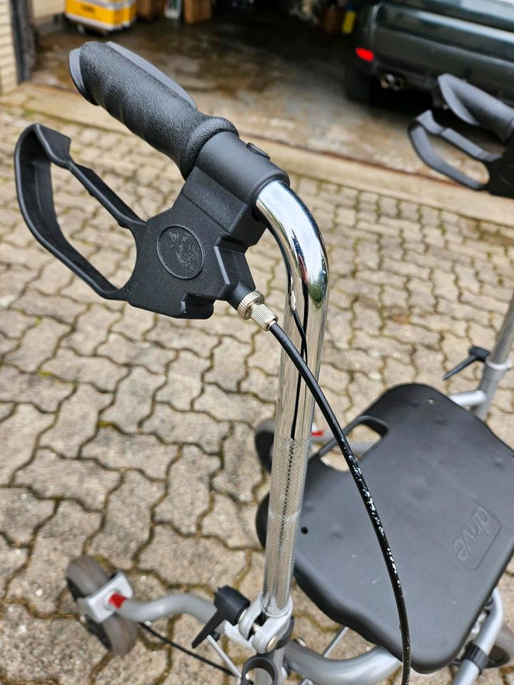 Rollator Gehilfe in Norderstedt