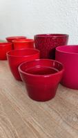 Rote Blumentöpfe Dresden - Pieschen Vorschau