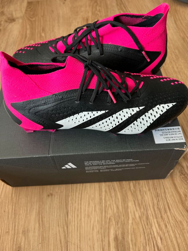 Adidas Predator Accuracy. 1 FG schwarz pink Fußballschuhe Neu  42 in Kassel