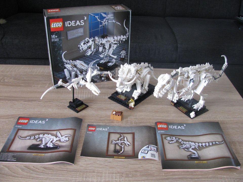 Lego Ideas 21320 Dinosaurier-Fossilien aus Sammlung in Bad Salzuflen