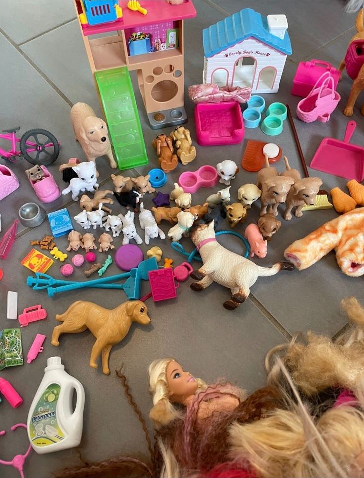 Barbie XXL Sammlung in Dittelsheim-Heßloch