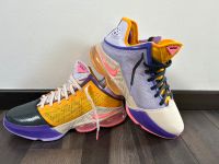 Nike Lebron James 19 XIX Low Gr. 43 (DO9829-500) Sachsen-Anhalt - Sülzetal Vorschau