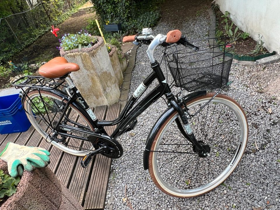 Damenfahrrad Tecnobike Cityrad in Fürth