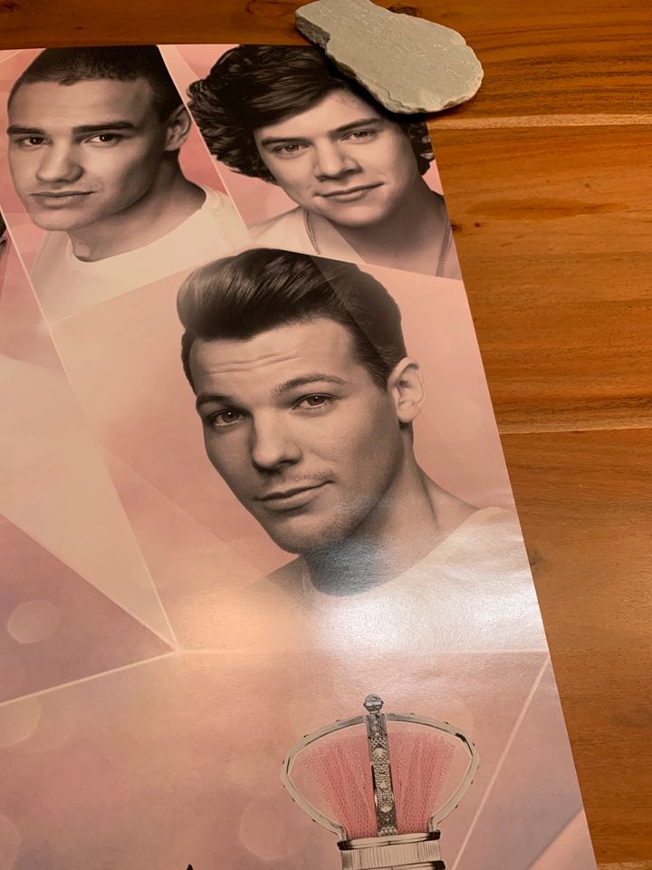 One Direction 1D Poster Our Moment Promo in Hamburg