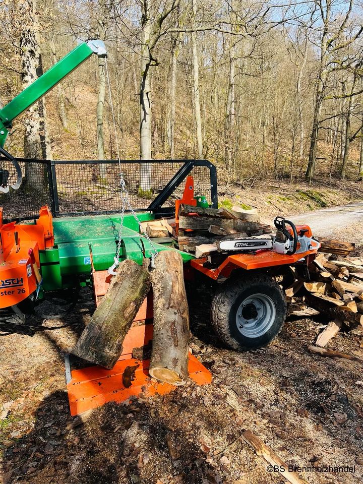 Lohnspalten / Meterholz - spalten / Posch Splitmaster 26 in Oestrich-Winkel