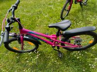 Mountainbike Kinder Kinderfahrrad 20 Zoll Nordrhein-Westfalen - Gladbeck Vorschau