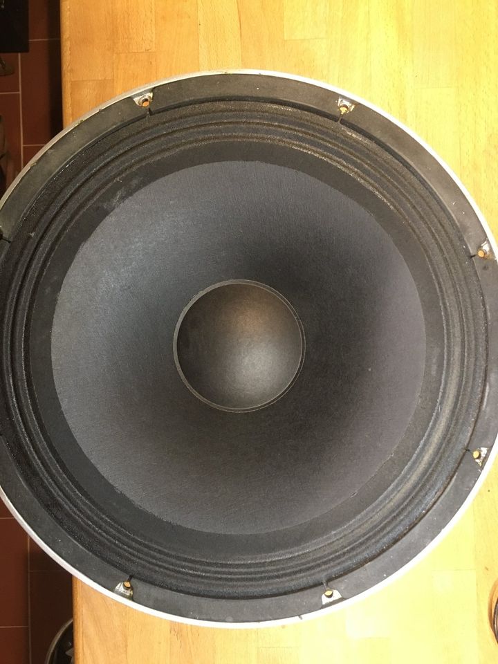 15" Speaker, 150W, 8 Ohm Lautsprecher aus Pignose Bassamp in Flensburg