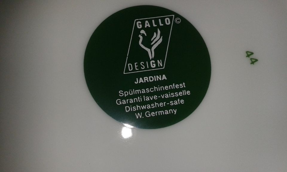 GALLO JARDINA Villeroy & Boch SUPPENTELLER 3 vorrätig TELLER TIEF in Ehringshausen