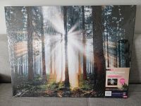 NEU Bild Leinwand 80x60 cm mit Wald-Motiv Natur Sonne OVP Nordrhein-Westfalen - Wetter (Ruhr) Vorschau