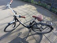 Gazelle Damen Fahrrad Arroyo C7+ 28 Zoll schwarz/silber Nordrhein-Westfalen - Soest Vorschau