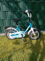 Kinderfahrrad Bibi Bachtenkirch 12,5 Zoll Nordrhein-Westfalen - Erwitte Vorschau